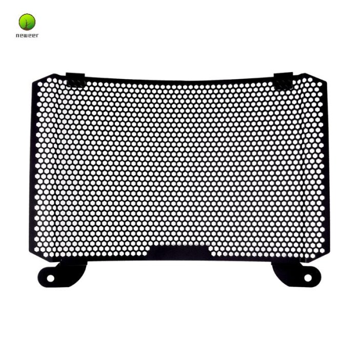 MotoGP radiator guard