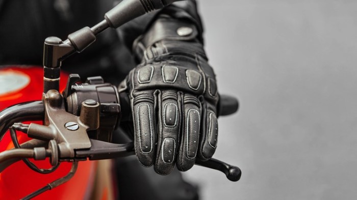 10 Best Must-Have Motorcycle Accessories MotoGP bike accessories